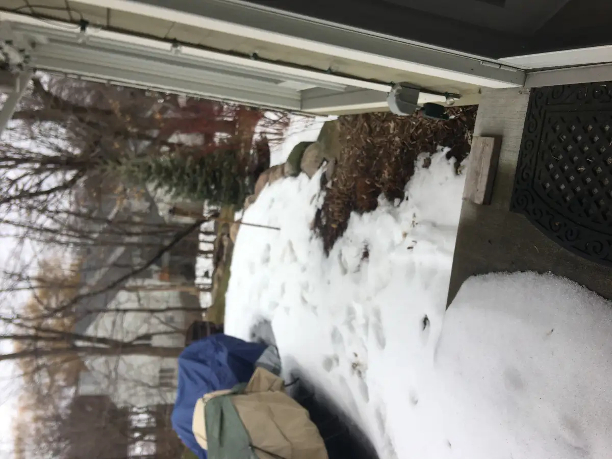 Backyard before landscape renovation showing bare yard