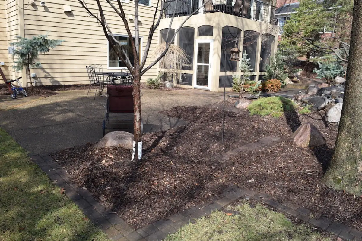 Before: Eden Prairie backyard before outdoor kitchen installation