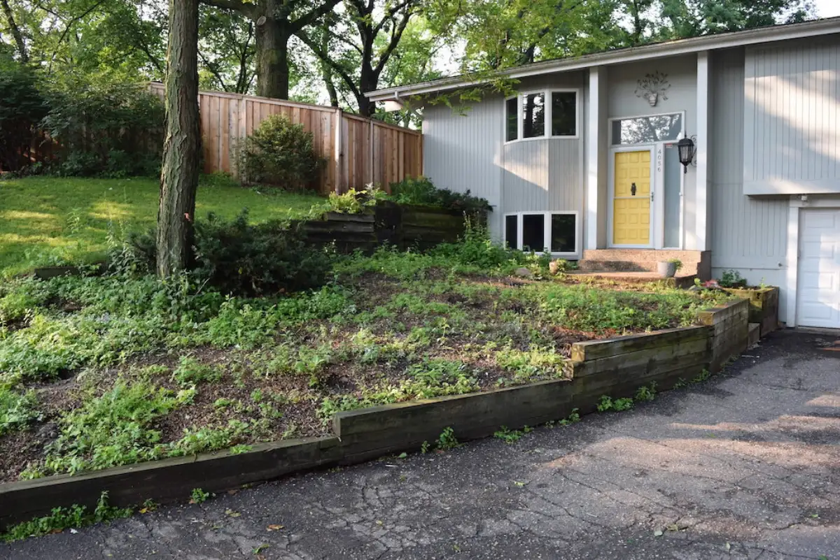Before: Minnetonka front yard before landscape redesign