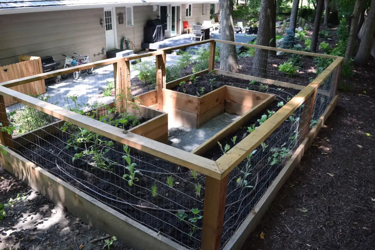 Custom raised garden bed with cedar fence