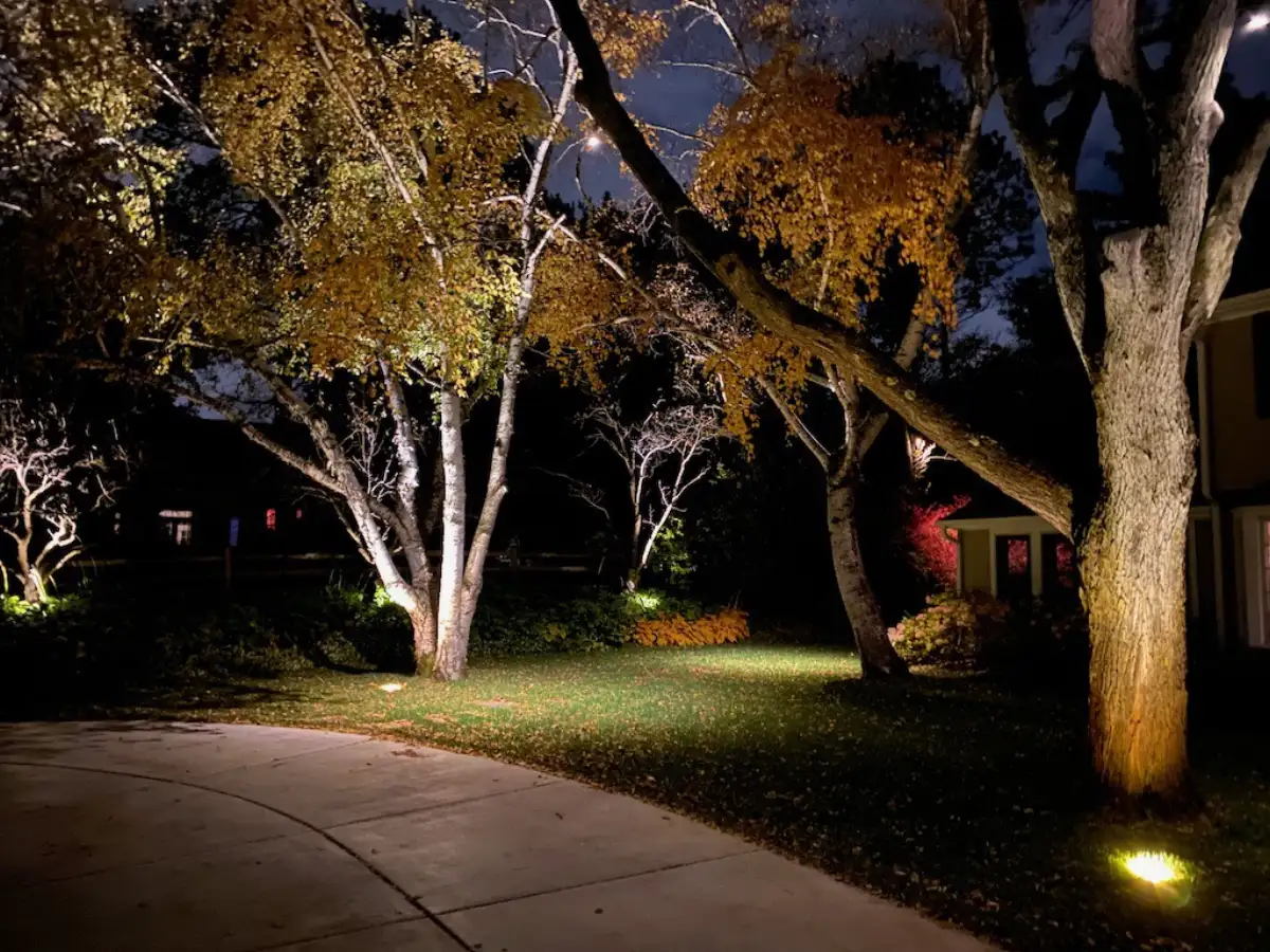 Landscape lighting illuminating patio and retaining walls at night in Shorewood MN