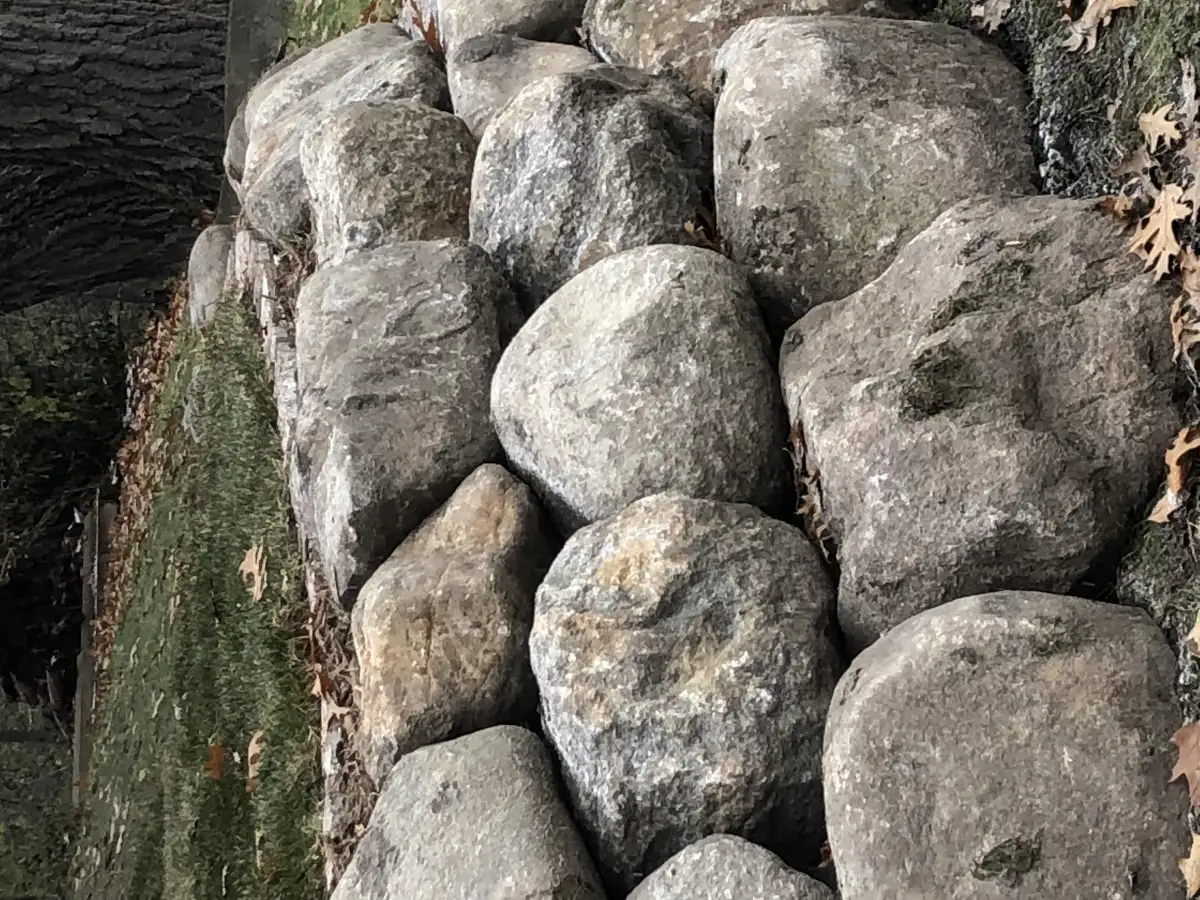 Multi-tiered retaining wall with plantings in Eden Prairie
